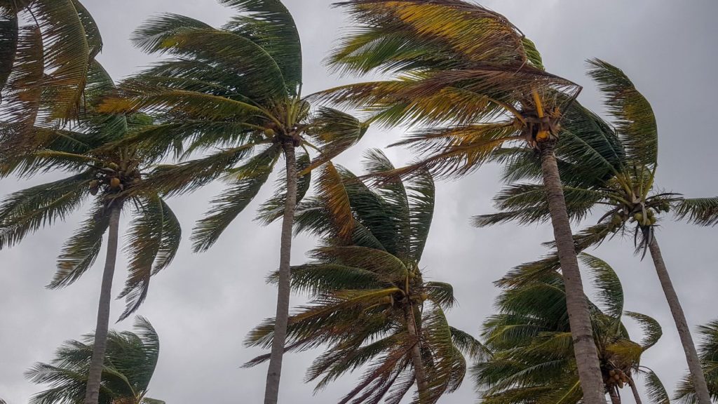 台風の名前の順番はどう決まってる?