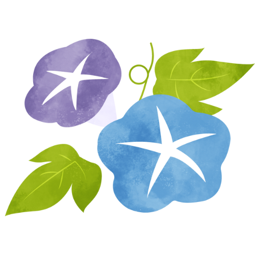 アサガオの成長記録