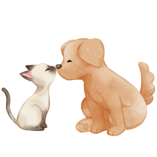 ペットの行動観察