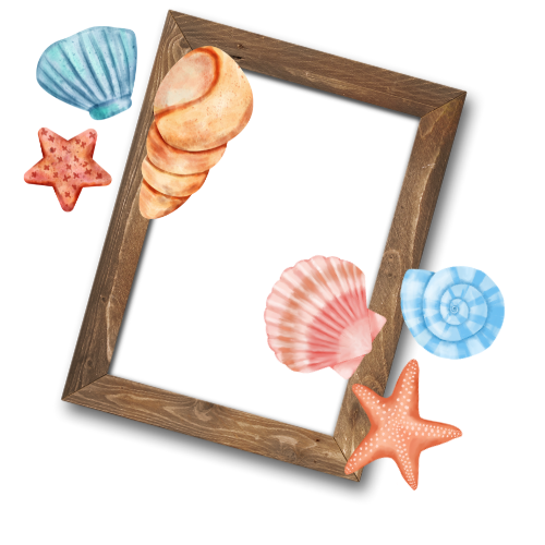 貝殻フォトフレーム