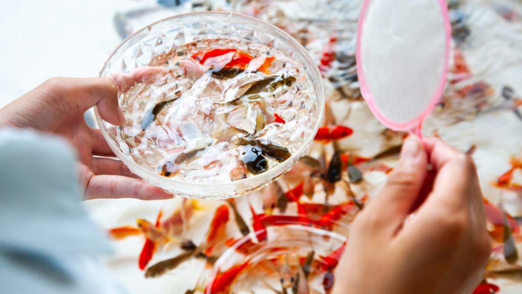 すくい方のコツってあるの？