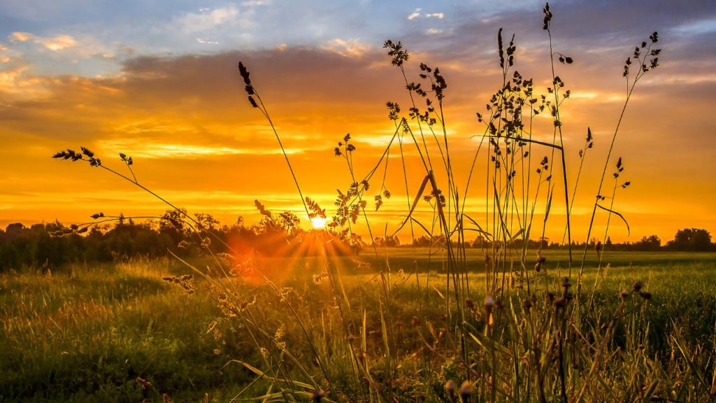夕焼けの見え方はどこでも同じ？